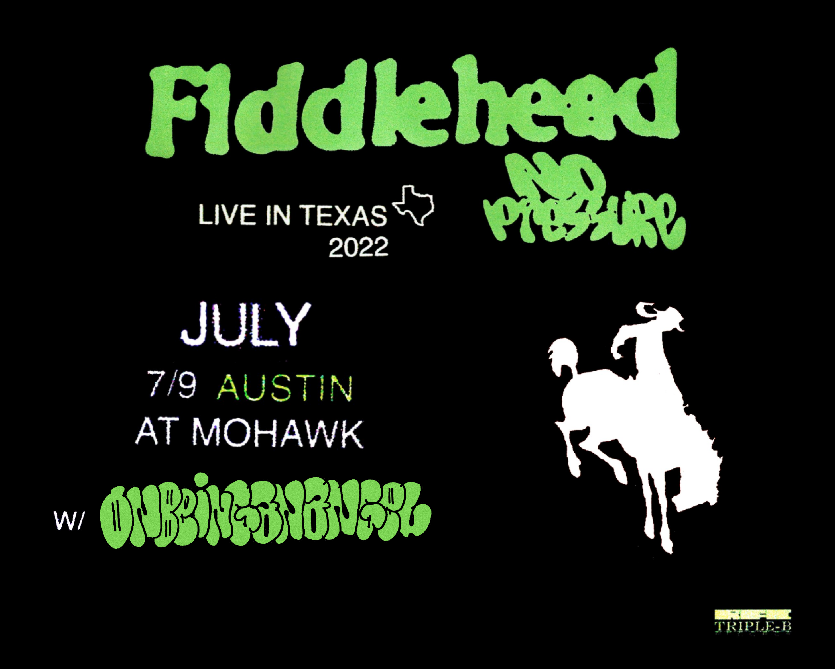 fiddlehead flier 2